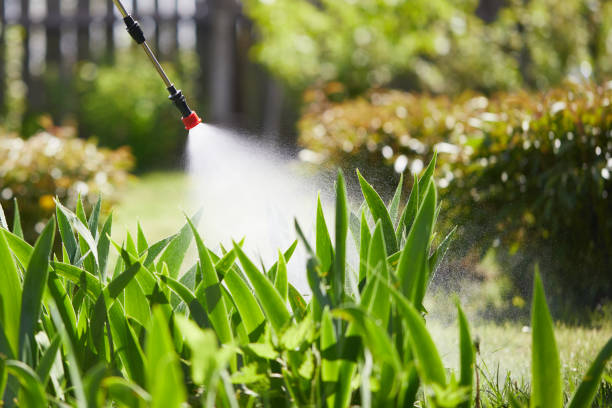 24/7 Emergency Fumigation Services experts in Plymouth, IN