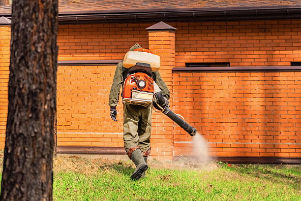 Trusted Mosquito Control service in Plymouth, IN - Nex Pest Control